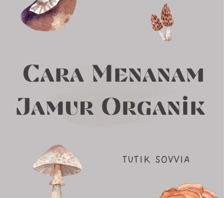 Cara Menanam Jamur Organik