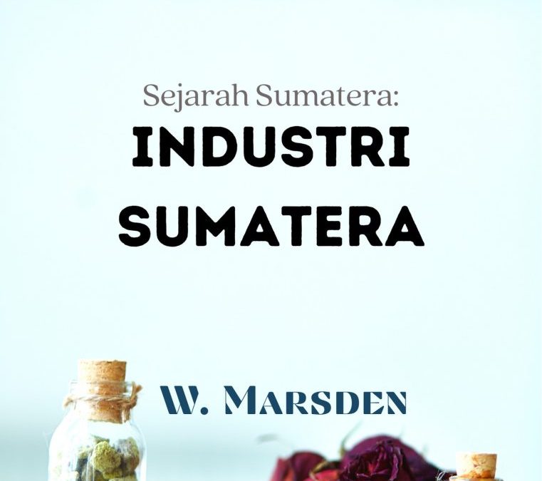 Sejarah Sumatera: Industri Sumatera