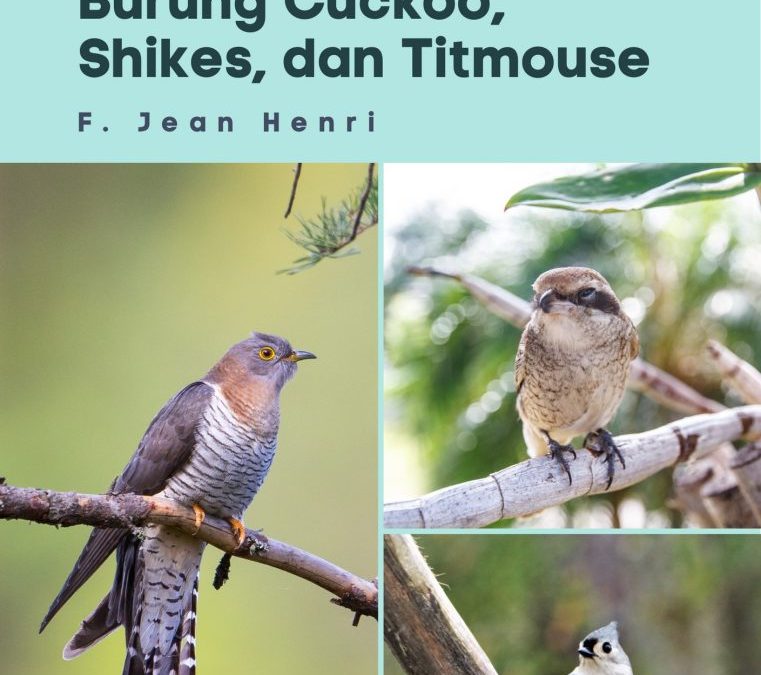 Kehidupan Hewan: Burung Cuckoo, Shikes, dan Titmouse