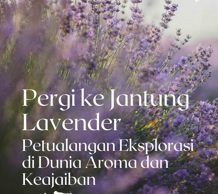 Pergi ke Jantung Lavender: Petualangan Eksplorasi di Dunia Aroma dan Keajaiban